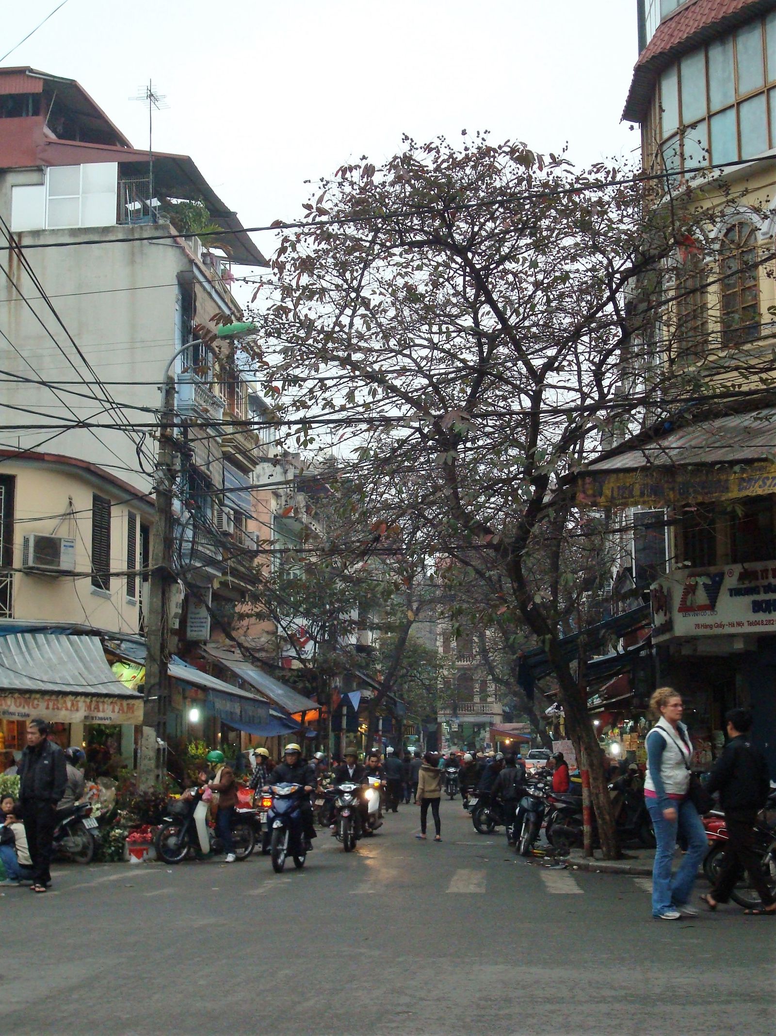 Dental Tourism: Hanoi vs Bangkok 2026 — Costs, Quality, and Travel Compared