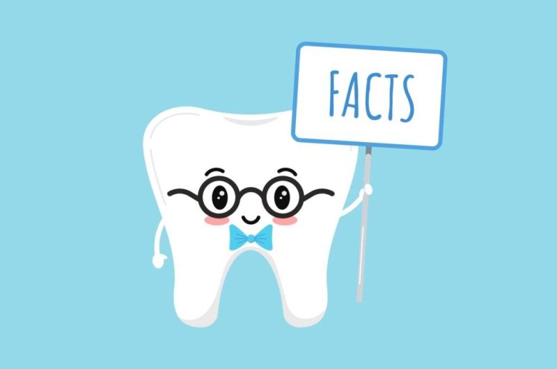 8 Amazing Dental Facts You Should Know