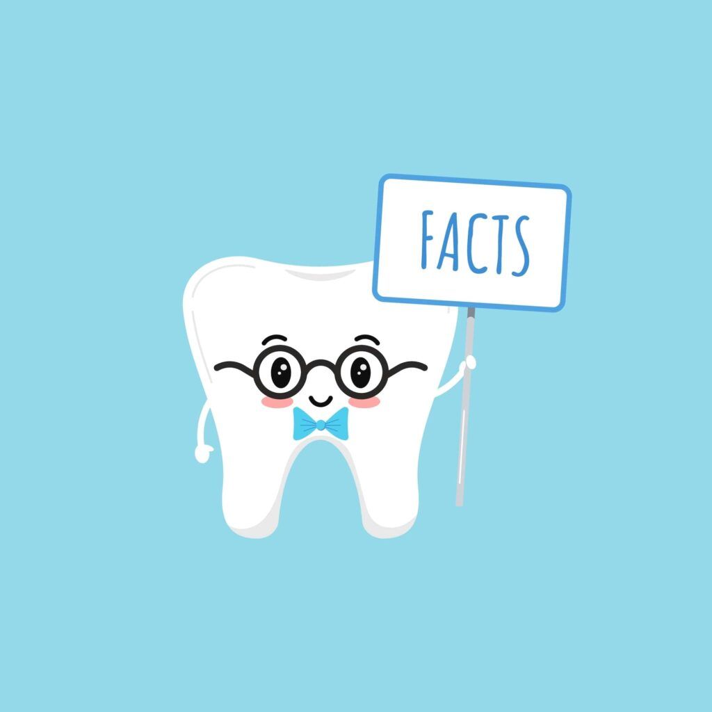 8 Amazing Dental Facts You Should Know